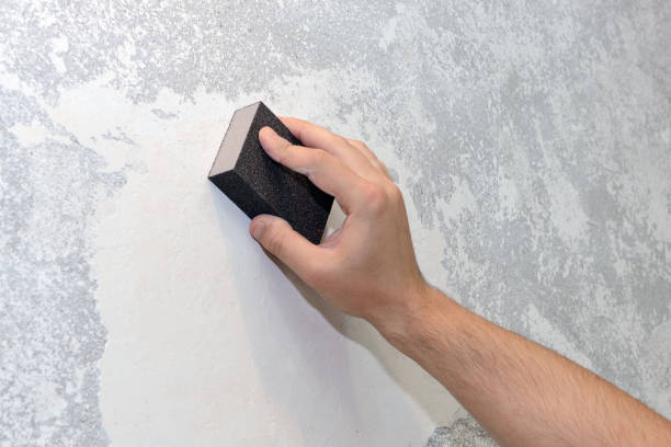 Best Airborne Mold Testing  in Trenton, IL