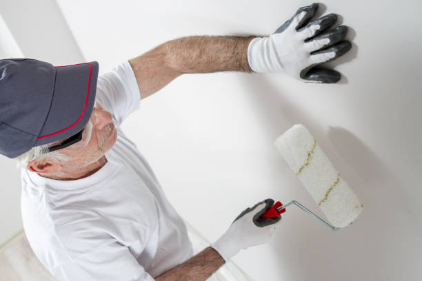 Best Emergency Mold Remediation  in Trenton, IL