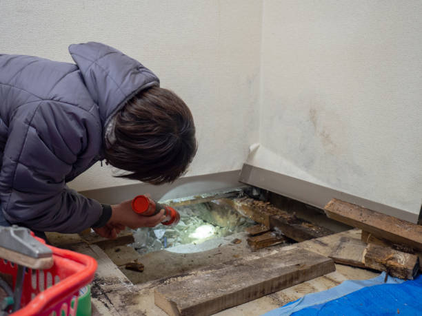 Best Comprehensive Air Testing for Mold Contaminants  in Trenton, IL
