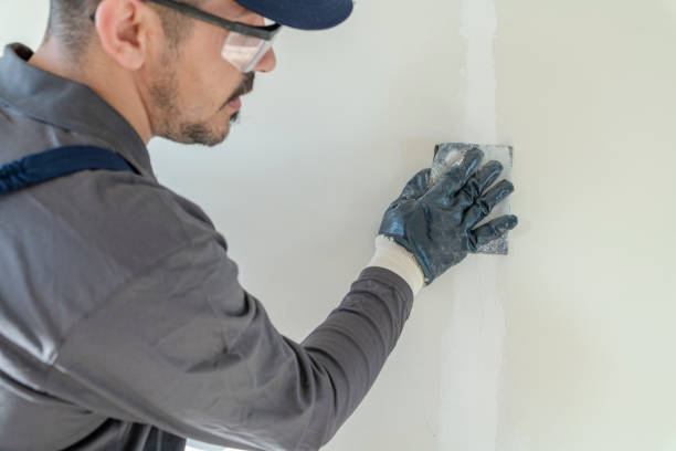 Best Forensic Mold Investigation  in Trenton, IL