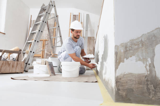 Trusted Trenton, IL Mold Removal Experts