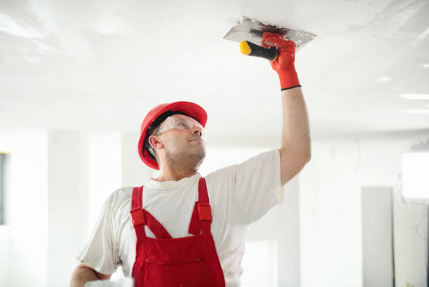 Best Indoor Air Quality Assessment  in Trenton, IL