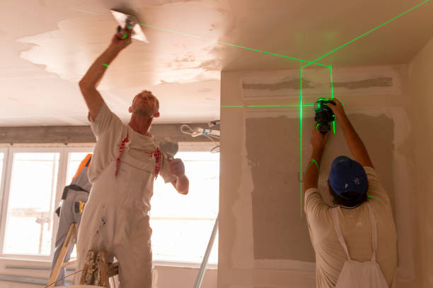 Mold Odor Removal Services in Trenton, IL