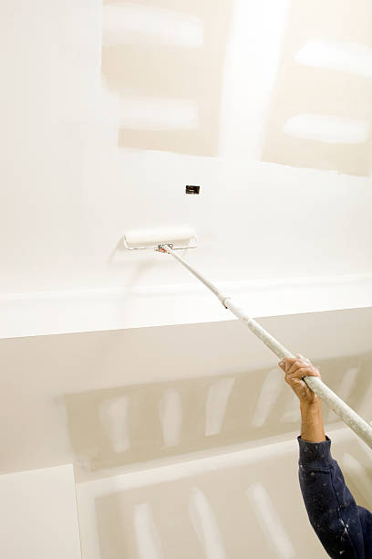 Best Environmental Consulting for Mold Prevention  in Trenton, IL