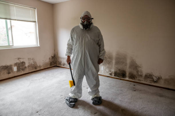 Best Real Estate Mold Inspection  in Trenton, IL