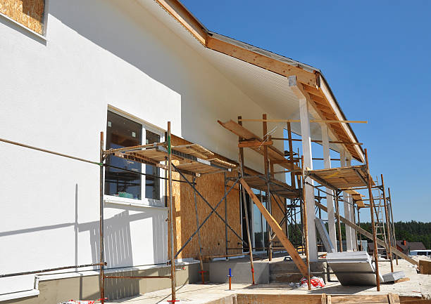 Best Commercial Mold Inspection  in Trenton, IL