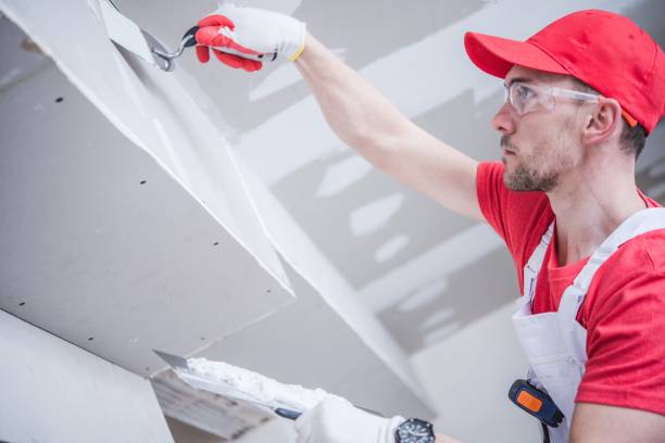 Best Residential Mold Inspection & Testing  in Trenton, IL